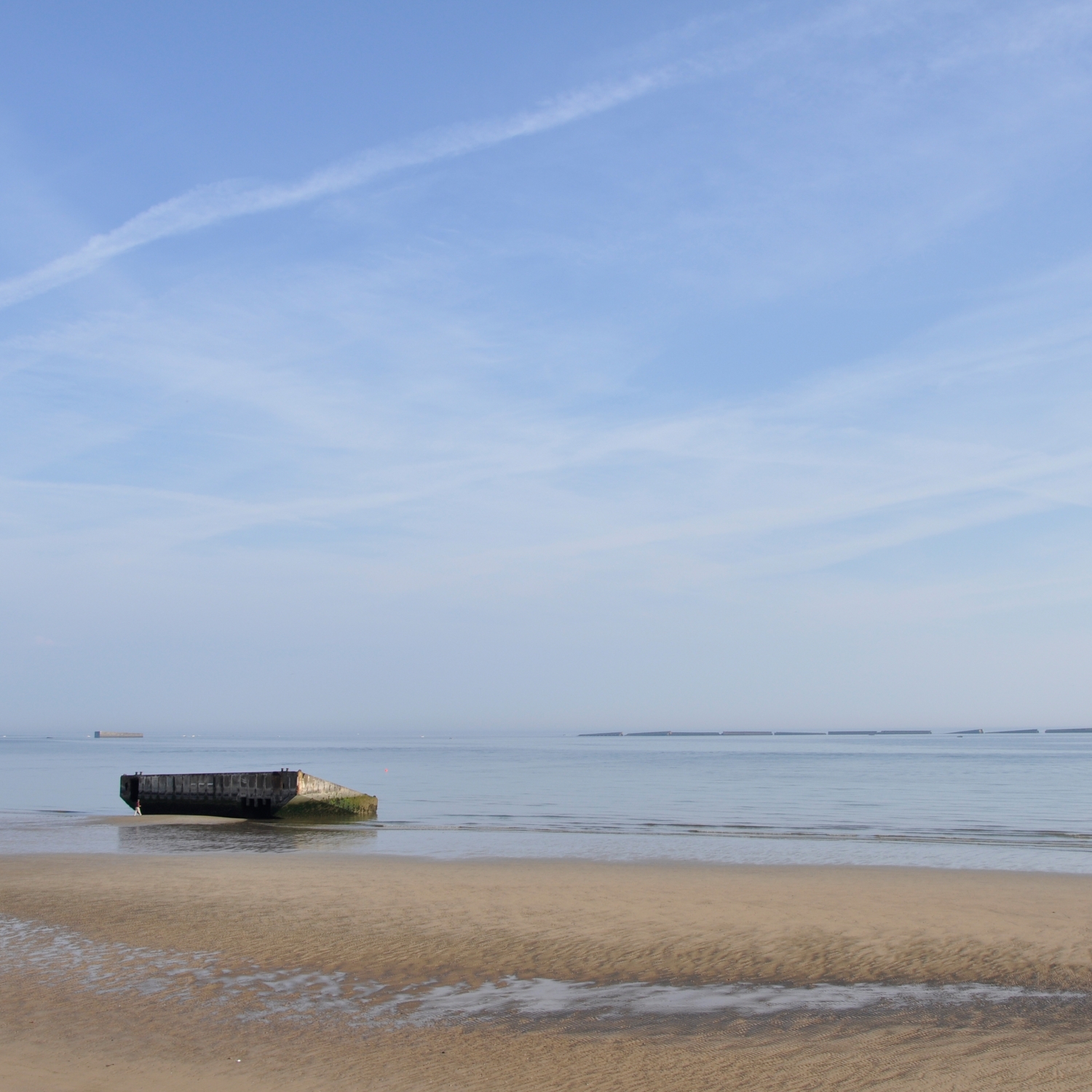 Birds' Back to Normandy