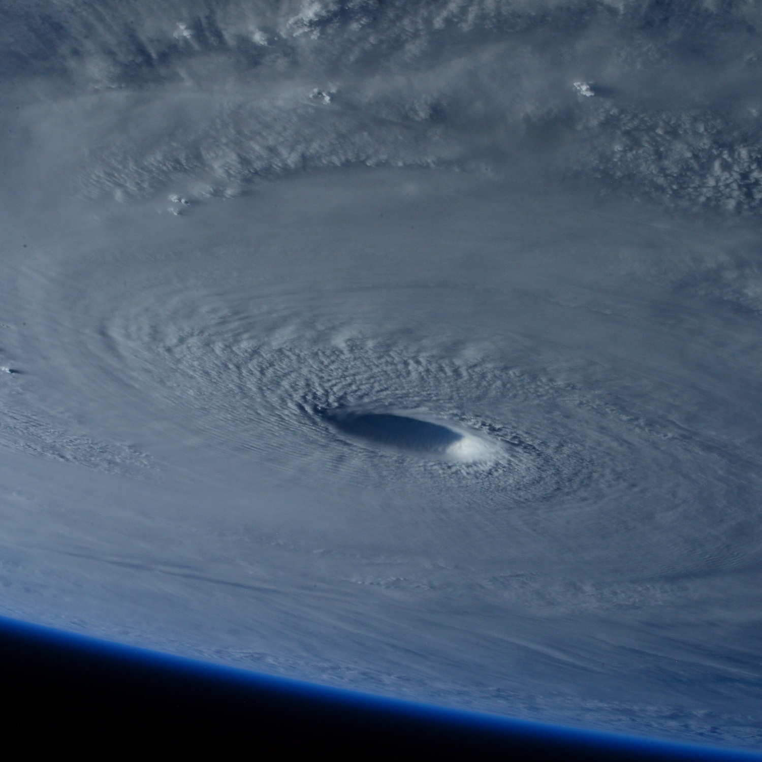 Birds' Eye of the Storm