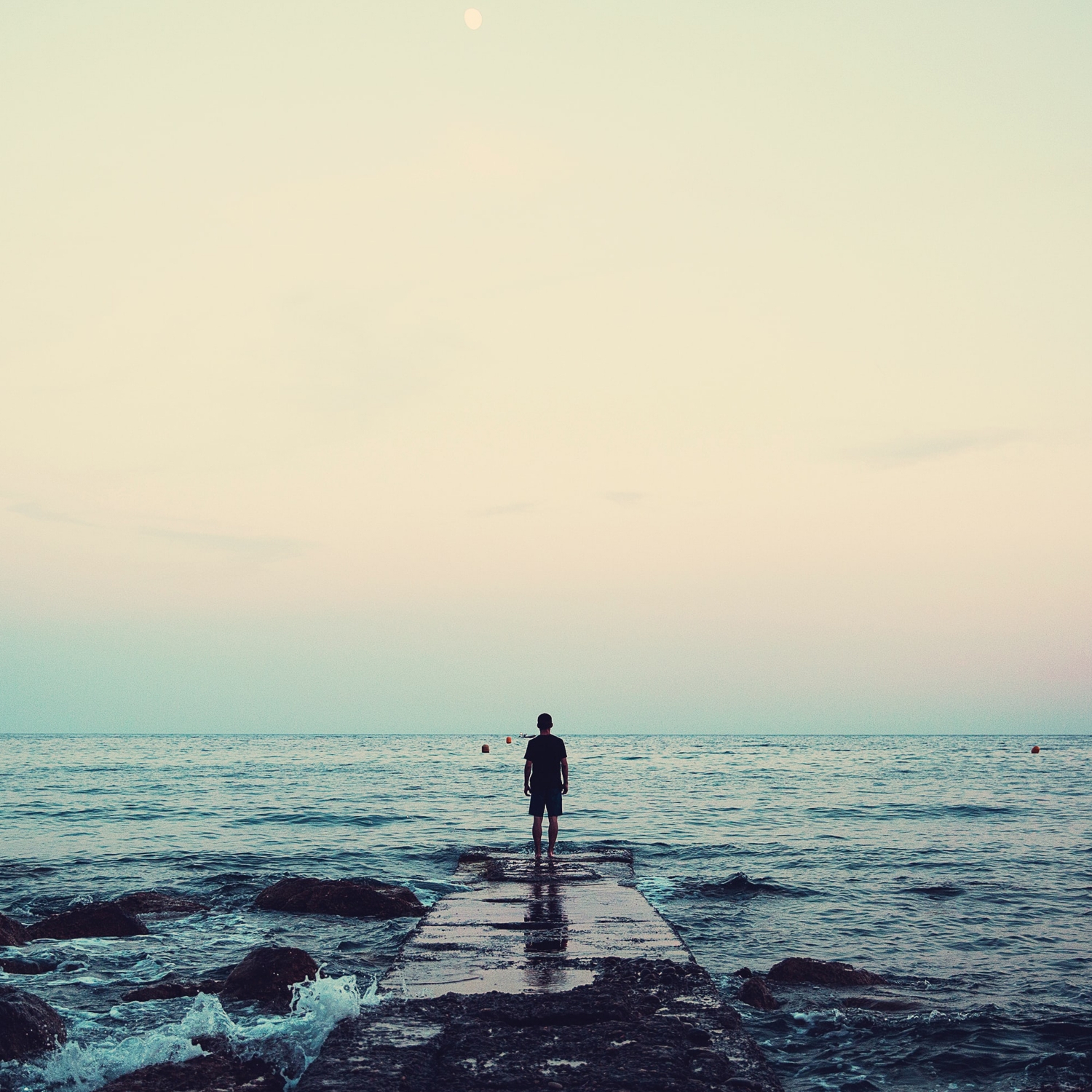 Birds' Horizon