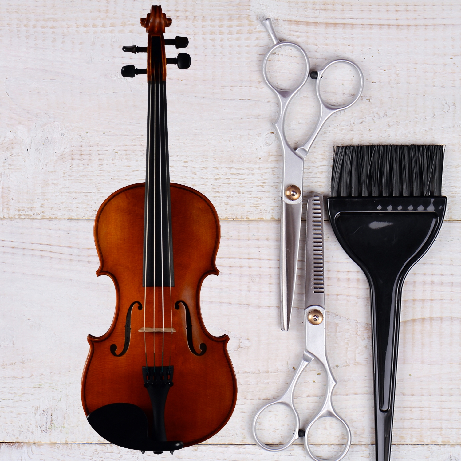 Birds' Violin Pieces