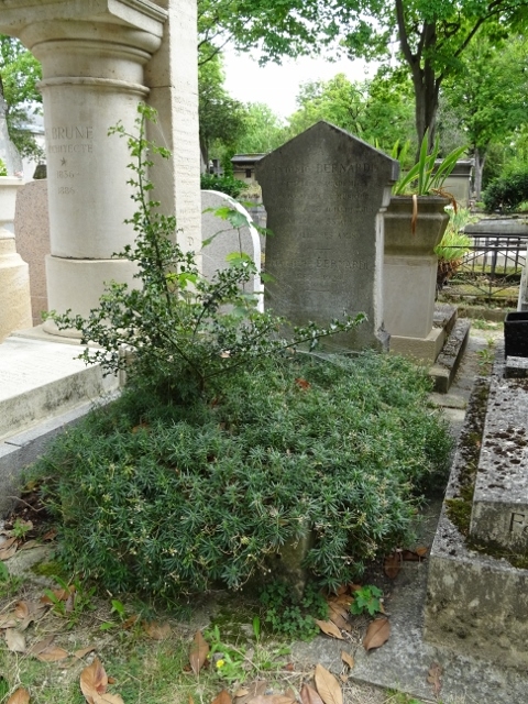 Bernardi Antonio (1831-1886) op Père Lachaise