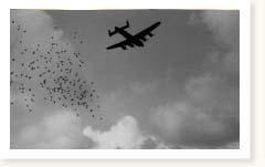 RAF Bomber Command Lancasters Operation Manna day 2 Waalhaven