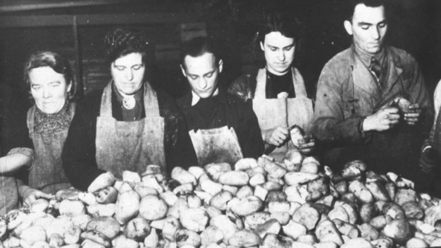 ‘Brandnetels of paardenbloemen uitstekend voedsel’