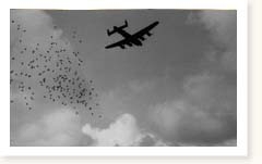 RAF Bomber Command Lancasters Operation Manna day 3 Waalhaven