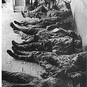 160 German soldiers fell into the hands of the Russian Army