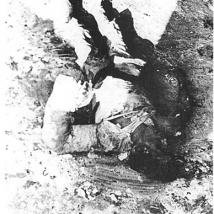 160 German soldiers fell into the hands of the Russian Army