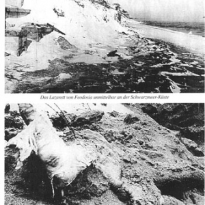 160 German soldiers fell into the hands of the Russian Army