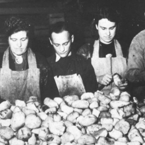 ‘Brandnetels of paardenbloemen uitstekend voedsel’