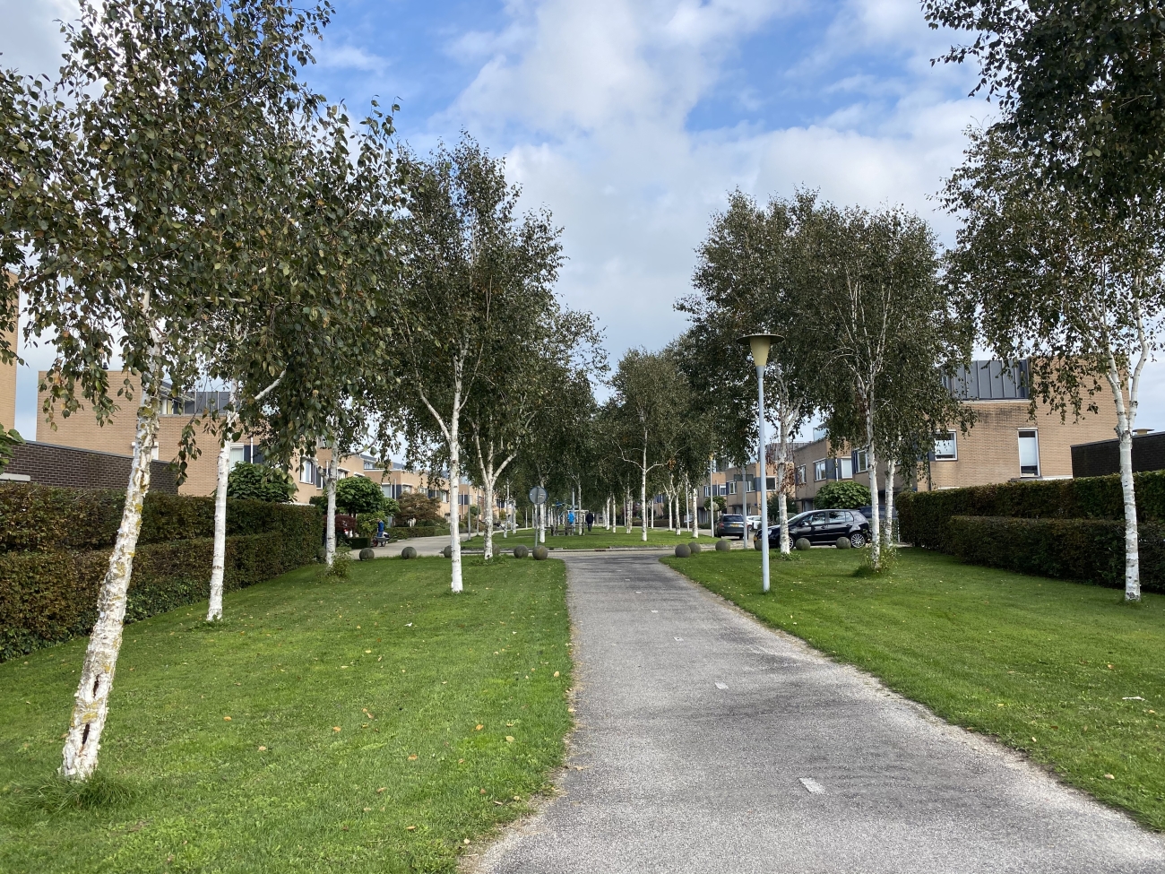 Berkenstraat