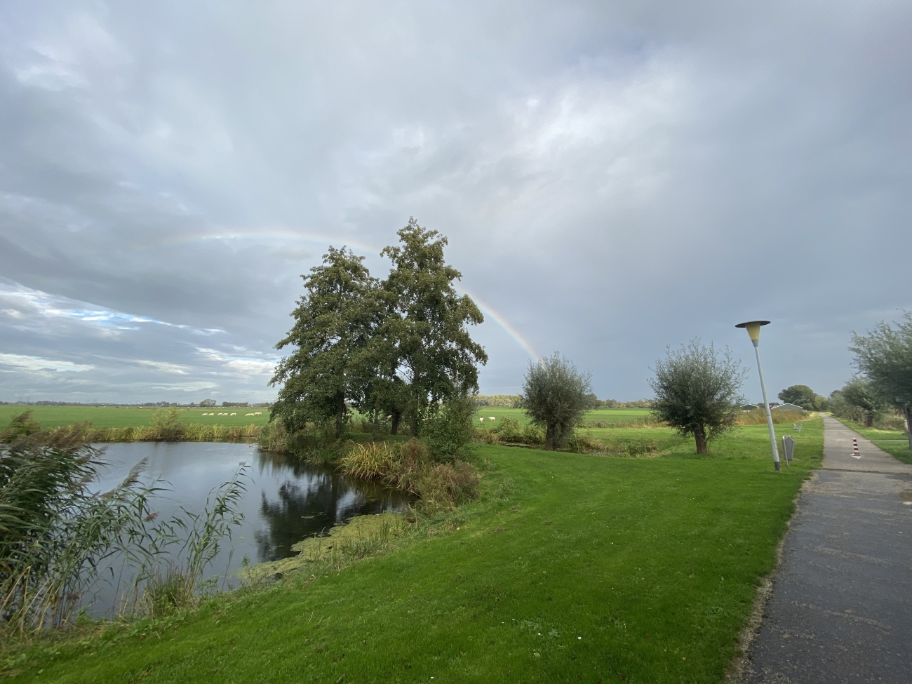 Regenboog