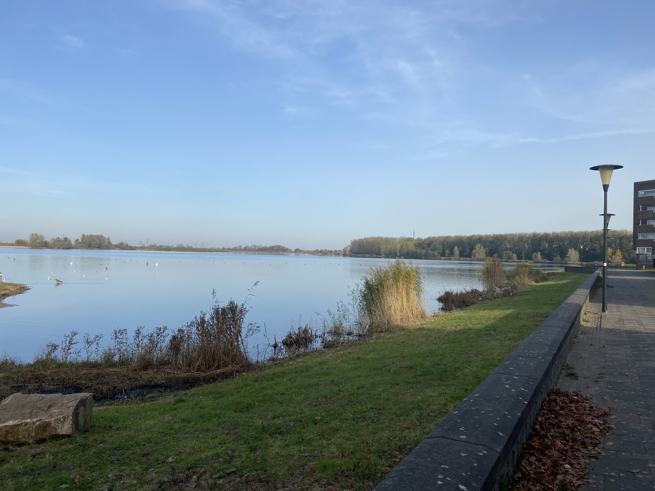 Verstild